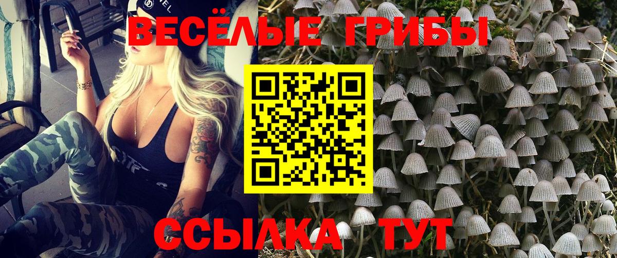 Псилоцибиновые грибы прущие грибы Архангельск