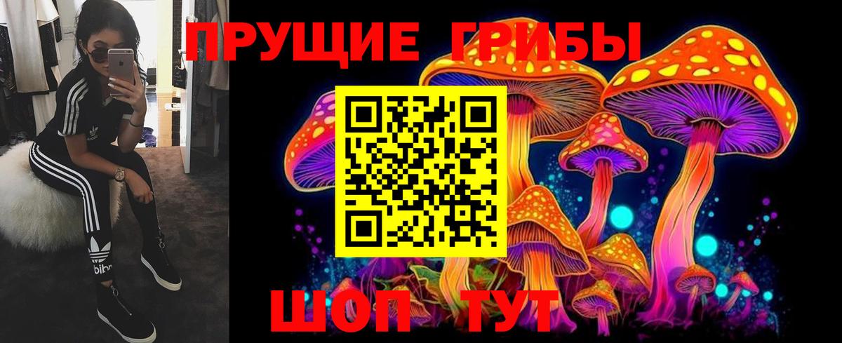 Псилоцибиновые грибы мухоморы  Галлюциногенные грибы прущие грибы  Архангельск  Вход с VPN 